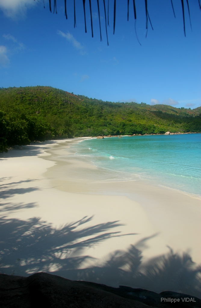 IMG_2244_rf_PRASLIN_ANSE LAZIO.jpg